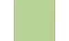 Fresh Mint