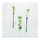 Ecodenta Green Line Sensitivity Relief pasta za osetljive zube sa kamilicom i karanfilicem 100 ml | Ecobeauty