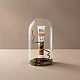 Ecodenta organska pasta za izbeljivanje zuba sa ekstraktom papaje 75 ml | Ecobeauty