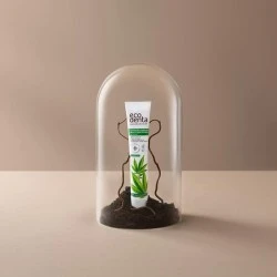 Pasta za zube sa uljem semena kanabisa Ecodenta 75 ml  