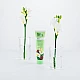 Pasta za osetljive zube i desni Ecodenta GREEN LINE SENSITIVITY RELIEF 100 ml | EcoDenta | Ecobeauty Pasta za osetljive zube i desni Ecodenta GREEN LINE SENSITIVITY RELIEF 100 ml | EcoDenta | Ecobeauty